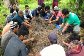 Manfaatkan  Dana Desa, Hasilkan  4 Ton Pupuk Kompos