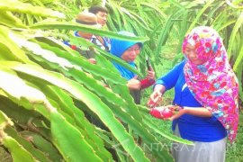 Pemdes di Sumenep Apresiasi Pengembangan Desa Wisata