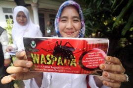 Dua Penderita DBD Meninggal, Pemkot Minta Warga Waspada