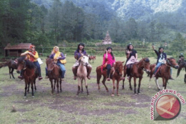 Wisata Berkuda Di Gunung Fatuleu