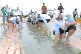 Gerakan Menanam Pohon Di Lampung