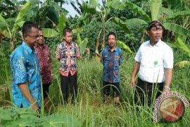 Rusunawa Sumurbatu Bekasi Andalkan Bantuan DKI