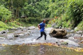 "Banyuwangi Ijen Green Run" Tawarkan Wisata sambil Olahraga