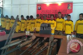 Polisi Berhasil Tangkap 15 Orang Pencuri Buah Sawit PT HSL