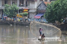 Mencari Ikan di Sungai