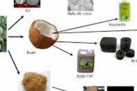 Alat Produksi Olahan Turunan Kelapa Minim