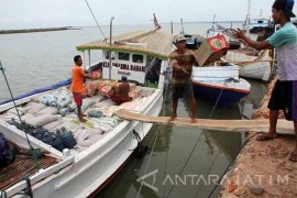 Jasa Perahu Penyeberangan Antarpulau Madura