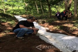 Retakan Lereng Pegunungan Argopuro Rawan Longsor