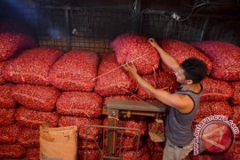 HARGA BAWANG MERAH NAIK Page 1 Small