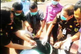 Kejari Sambas Musnahakan Barang Bukti Kejahatan 2016 