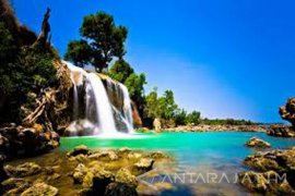 Pemkab Sampang Kembang Wisata Hutan Kera Nipah