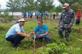 UP Brantas Revitalisasi Cemara Laut Pantai Sidem