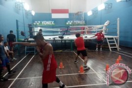 Ini Alasan Atlet Pelatnas Tinju Sea Games Dipulangkan Ke Daerahnya
