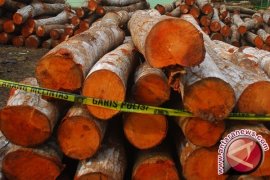 Polhut amankan terduga perambah hutan harapan