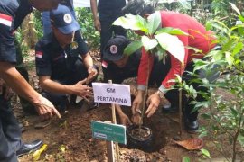 Pertamina Cilacap-BKSDA Konservasi Tanaman Langka