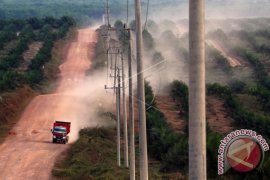 Tahun ini, Solok Selatan remajakan 200 hektare lahan sawit