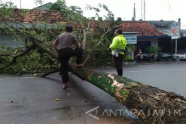 BPBD Pamekasan Anggarkan Darurat Bencana Rp3,5 Miliar