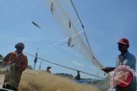 Provinsi Bali Dapat Jatah Asuransi Untuk 8.300 Nelayan