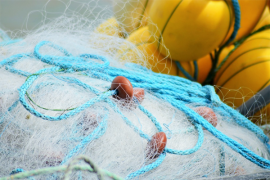 Kubu Raya Beri Asuransi 4.293 Nelayan