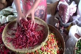 Penjualan Cabai di Madiun Merosot