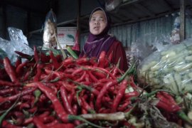 Kecuali Cabai, Harga Sembako di Kudus Stabil