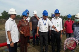 Pemerintah Harus Jamin Kepastian Harga Jagung 