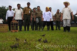 Pelepasliaran Burung di Hutan BKSDA