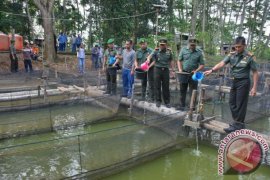 Bios 44 diuji coba di Maluku 