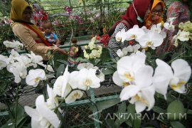 Wisata Kampung Anggrek Kediri