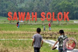 WISATA SAWAH Page 1 Small