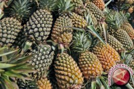 Ini 11 Makanan Yang Dapat Meringankan Gejala PMS