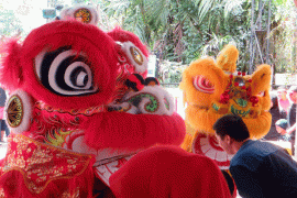TSI Suguhkan Barongsai-Liong Sambut Imlek 2017