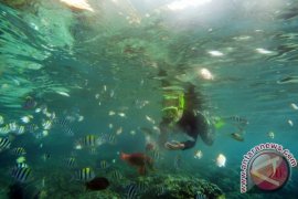Taman Laut Olele Ramai Walaupun Gelombang Tinggi 