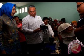 Peresmian Desa Cerdas Pertama di Indonesia