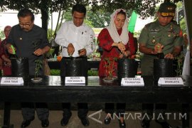 Gerakan Nasional Tanam Cabai