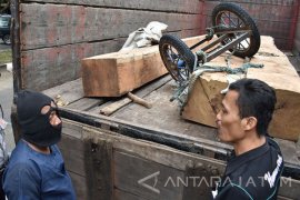 Polres Madiun Tangkap Pengangkut Kayu Curian Pocokan