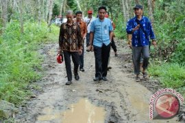 Jalan Rusak! Warga Teluk Minta Pemkab Barut Perbaiki Jalan 