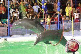 Oriental sirkus sebulan hibur warga Palembang