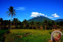 Kodim Musi Rawas cetak sawah baru 