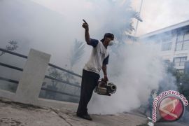 31 warga Pekanbaru terserang DBD selama Januari