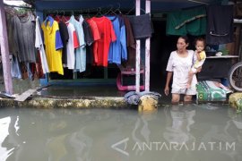 Banjir Kraton Pasuruan Lumpuhkan Jalur Pantura