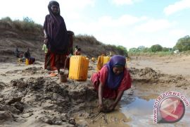 WHO Perlu 10 Juta Dolar untuk Tingkatkan Operasi di Somalia