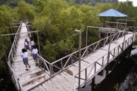Melalui Wisata Edukasi, Lesarikan Mangrove