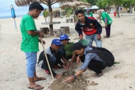 Asidewi Madura "Hijaukan" Pantai Sembilan Sumenep