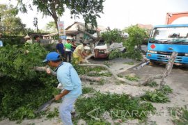 Angin di Bojonegoro Robohkan Dua Rumah