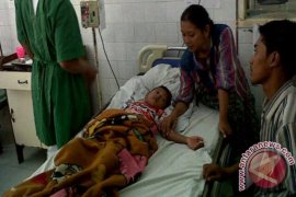 Number of Dengue Patients in Kupang Increasing