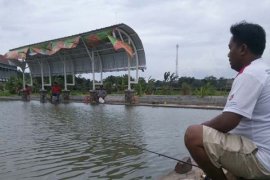 Pemkab Banjarnegara Optimalkan Fungsi Balai Benih Ikan