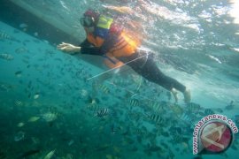 10 Kegiatan Budaya Samosir Sepanjang Tahun Diapresiasi 