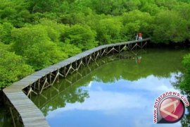 Menteri LHK: Mayoritas mangrove kurang baik