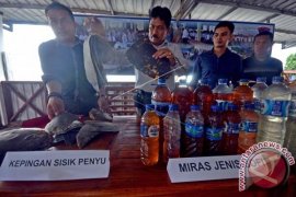 PENYITAAN MIRAS DAN SISIK PENYU